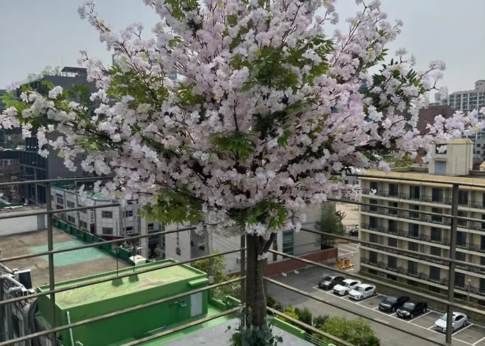 201, Atelier Seongsu Riverside Loft Cherry Blossom Road River Airport Bus Appartement