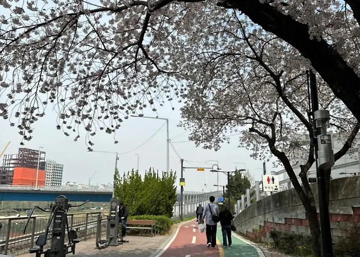 201, Atelier Seongsu Riverside Loft Cherry Blossom Road River Airport Bus * Séoul