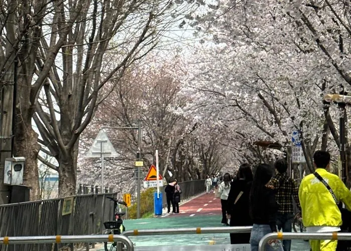 Appartement 201, Atelier Seongsu Riverside Loft Cherry Blossom Road River Airport Bus Séoul